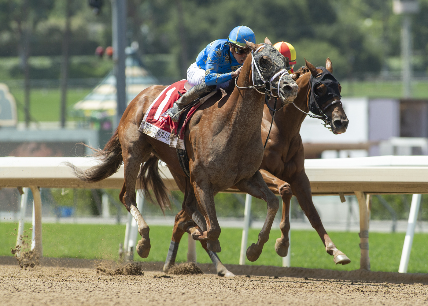 Will Take Charge’s There Goes Harvard wins Hollywood Gold Cup (G1)