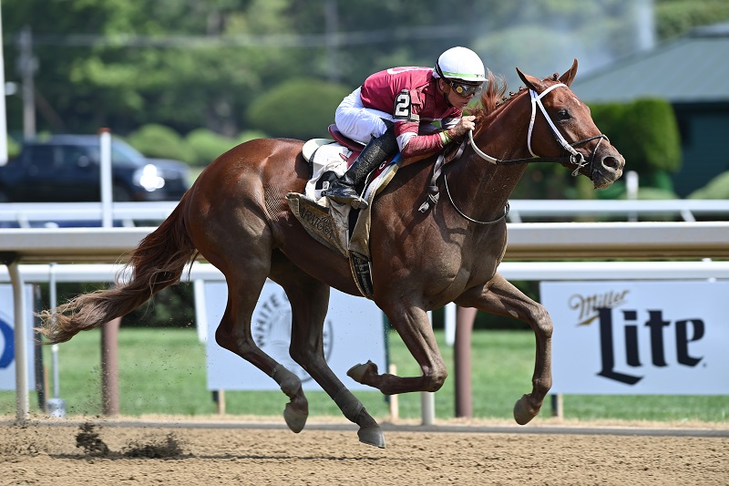 Gun Runner homebred earns TDN Rising Star at Saratoga