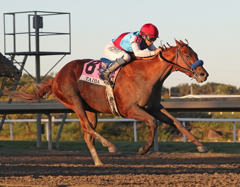 Taiba’s Pennsylvania Derby (G1) part of an incredible day for Gun Runner