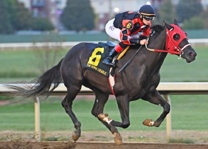 Tyler’s Tribe headed to Breeders’ Cup after another dominant stakes win