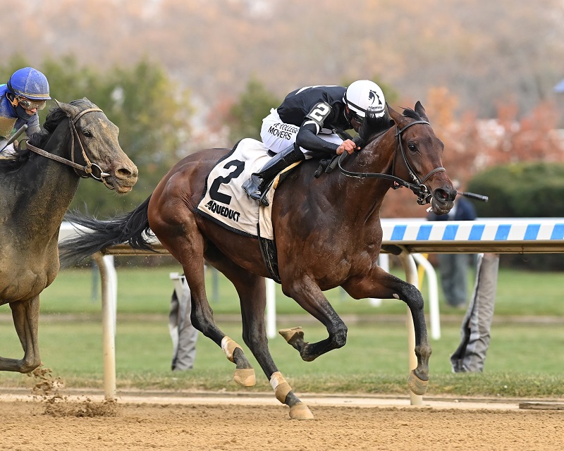Gun Runner filly displays grit in Comely S. (G3) win