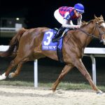 Funtastic Again dominates the 2023 Leonatus S. - Coady photography
