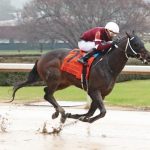 Gunite winning the 2023 King Cotton S. at Oaklawn Park - Coady photography