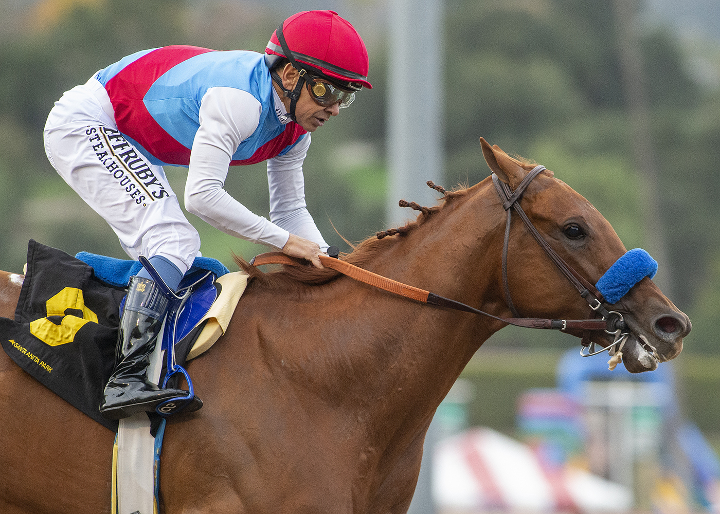 Taiba scorches foes in Grade 1 Malibu S.