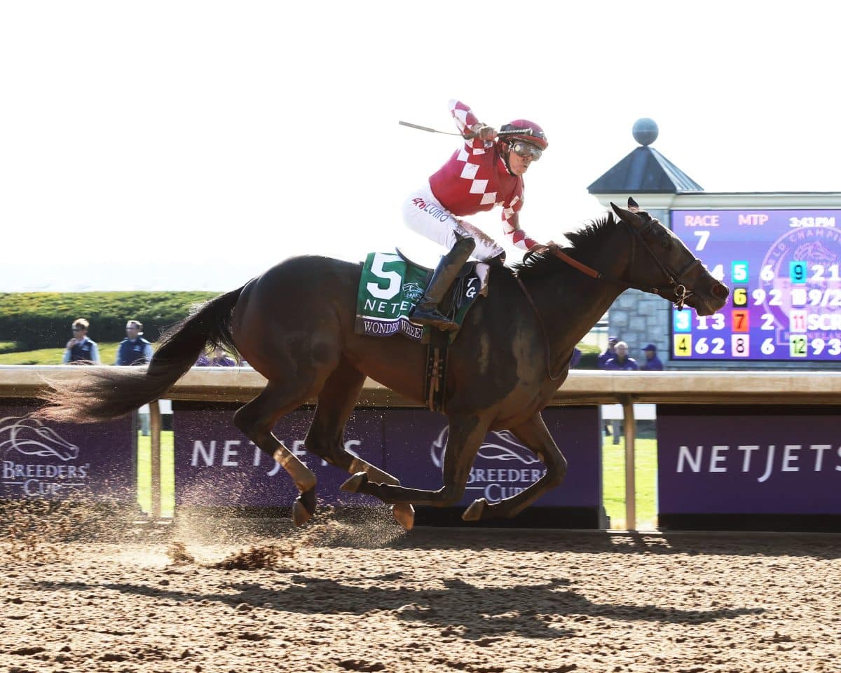 Wonder Wheel named Eclipse Champion 2YO filly