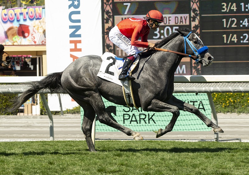 Funtastic colt takes the inside path to $100,000 John Shear S. victory