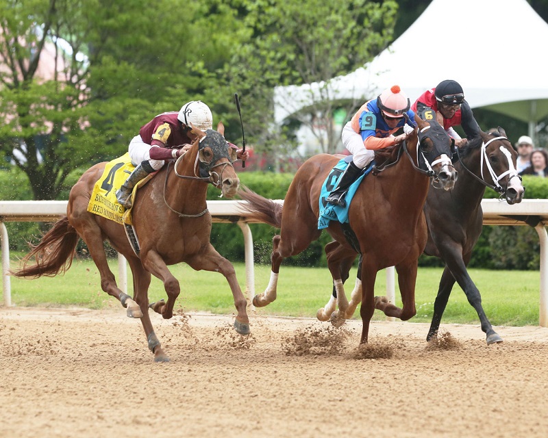 Gun Runner colt snatches victory in the $200,000 Bath House Row S.
