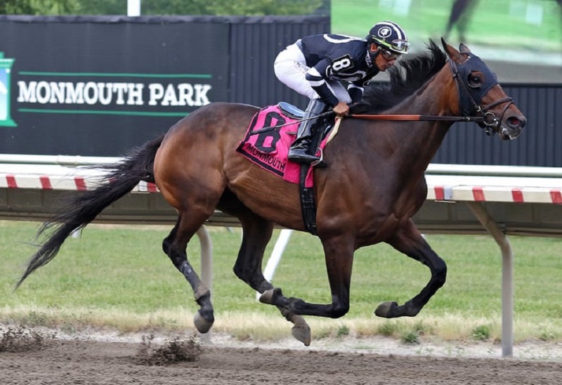 Shotgun Hottie rolls to front-running victory in Lady’s Secret S.