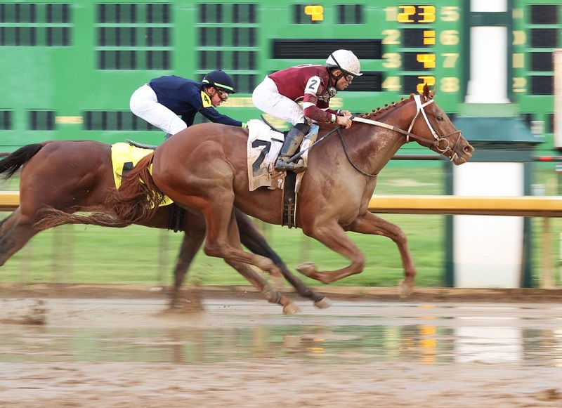 Disarm takes Matt Winn S. (G3) to become latest GSW for Gun Runner