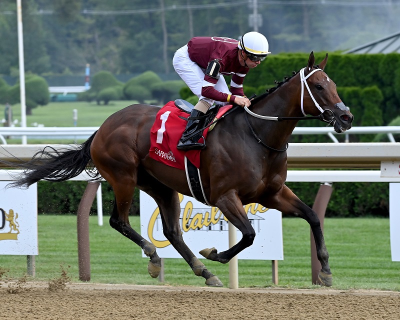 Echo Zulu at the top of her game in Honorable Miss S. (G2)