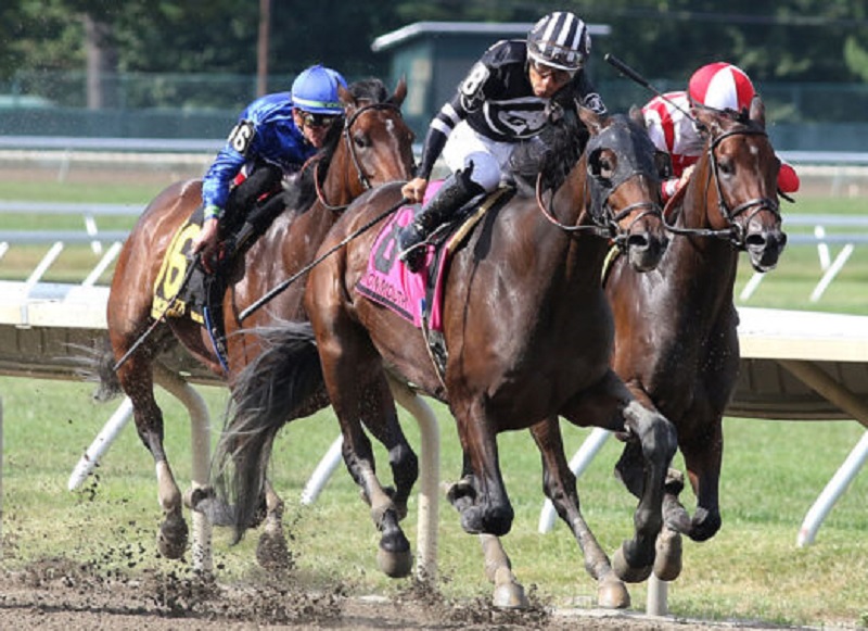 Gun Runner’s Shotgun Hottie takes Molly Pitcher S. (G3) for first graded win