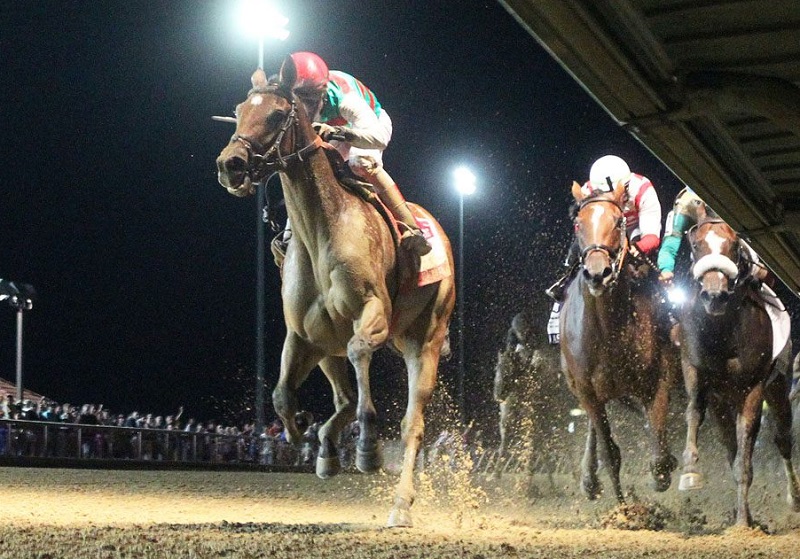 Vahva, in Charles Town Oaks (G3), leads Gun Runner Friday stakes double