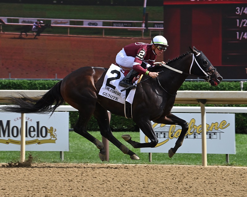 Gunite takes Forego S. (G1) for second Grade 1 victory