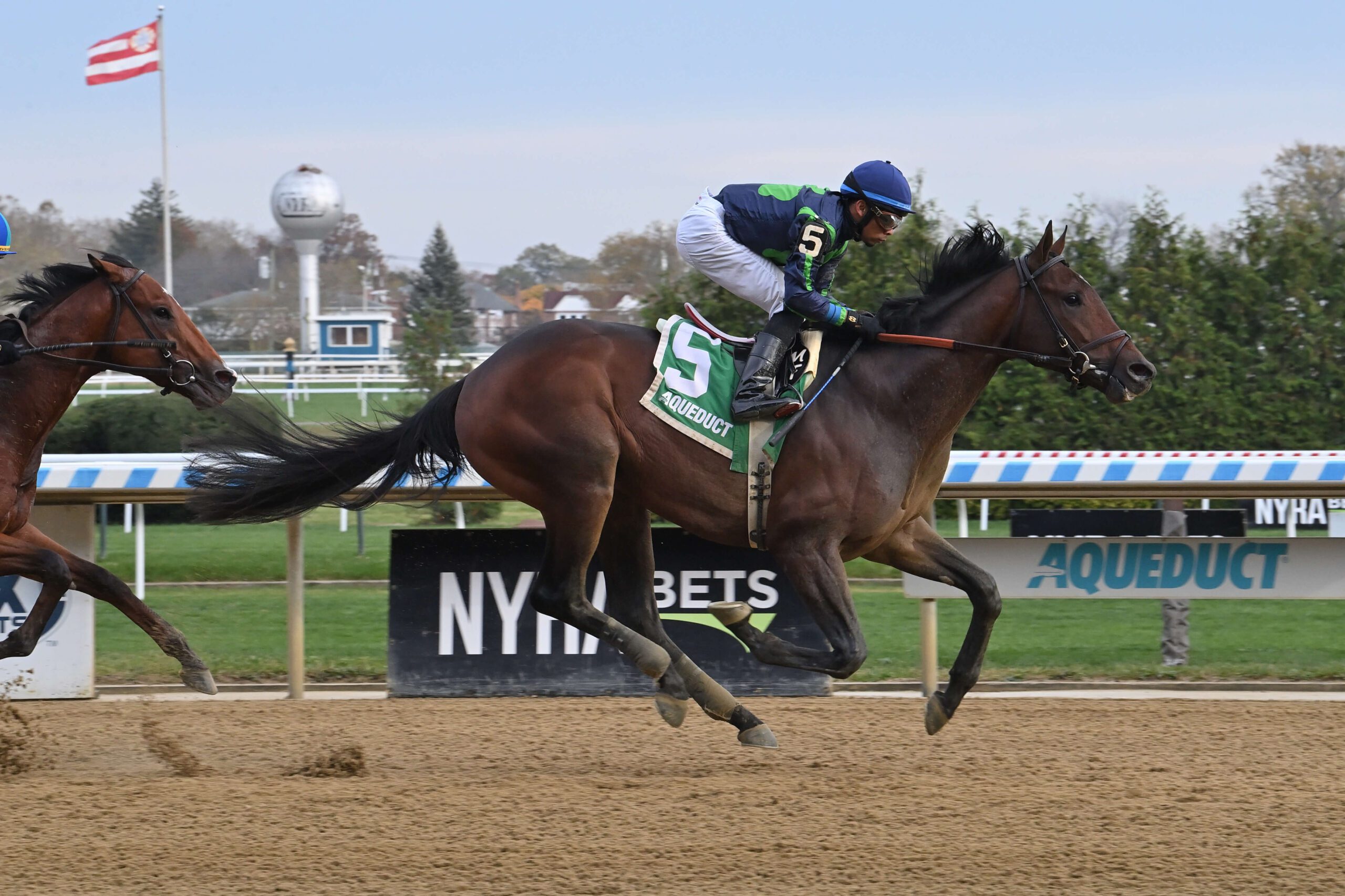 Gun Runner’s Sierra Leone tabbed a TDN Rising Star