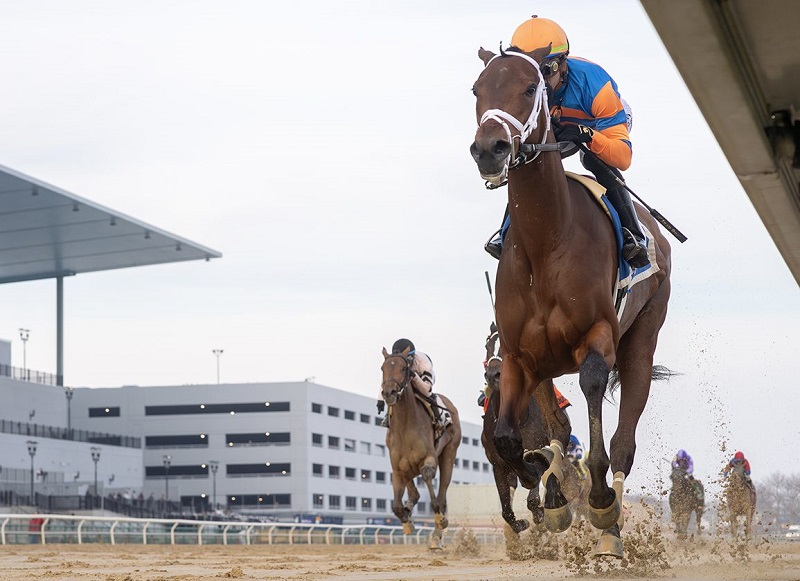 Gun Runner’s Life Talk leads all the way in dominating Demoiselle S. (G2) win