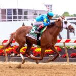 Gun Song gets her first stakes win in the Black-Eyed Susan S. (G2) at Pimlico - JIm McCue photo
