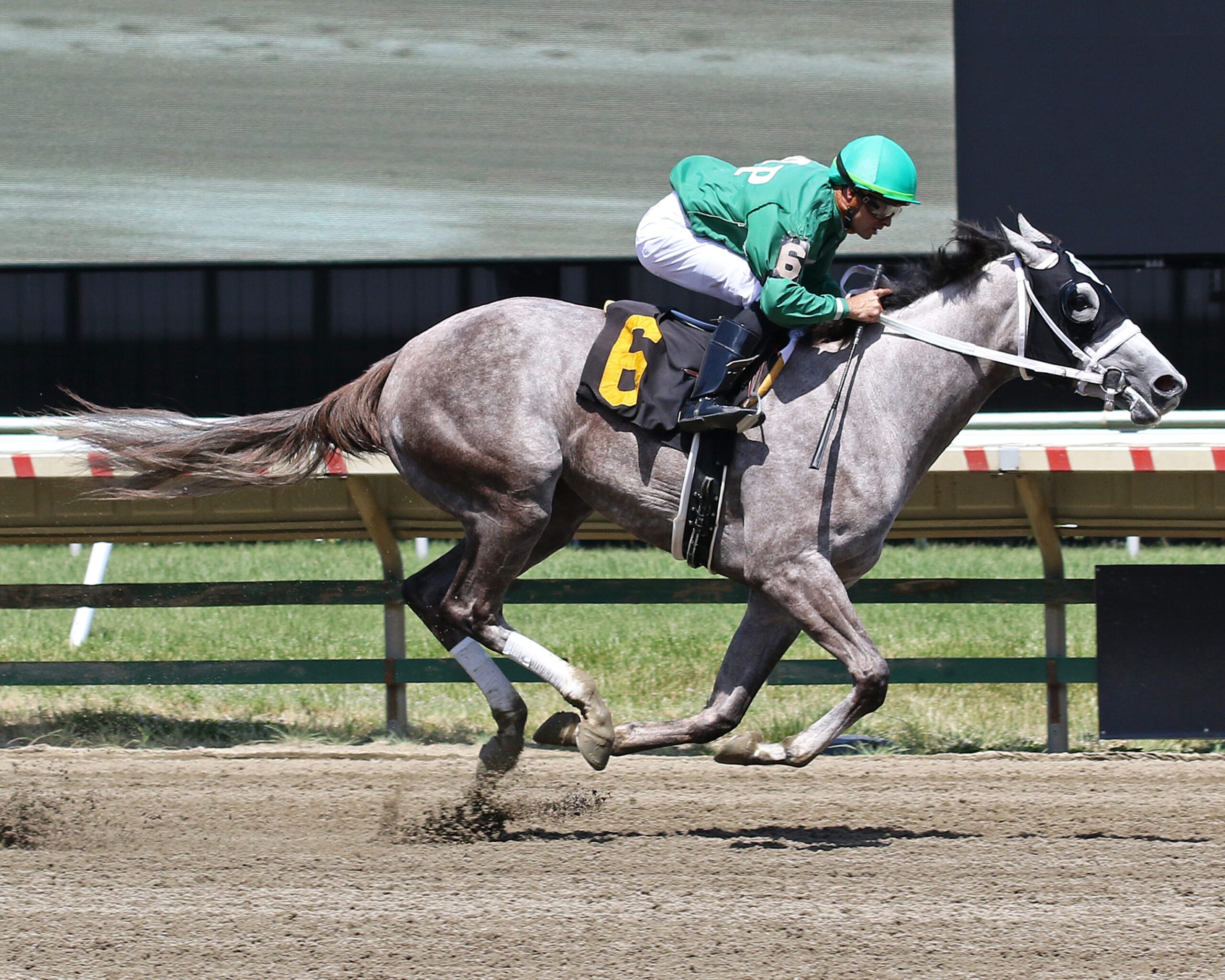 Aguas de Cristal first winner for Volatile