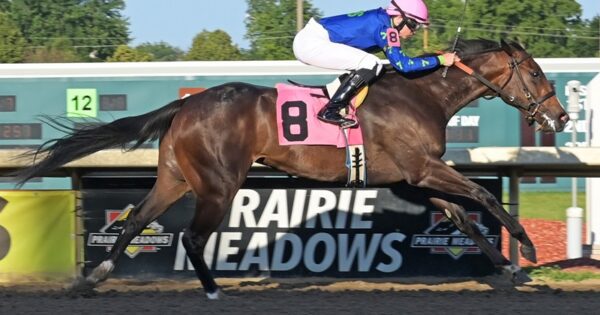 Volatile Stallion Volatile filly very sharp in debut maiden special weight win - Three ...