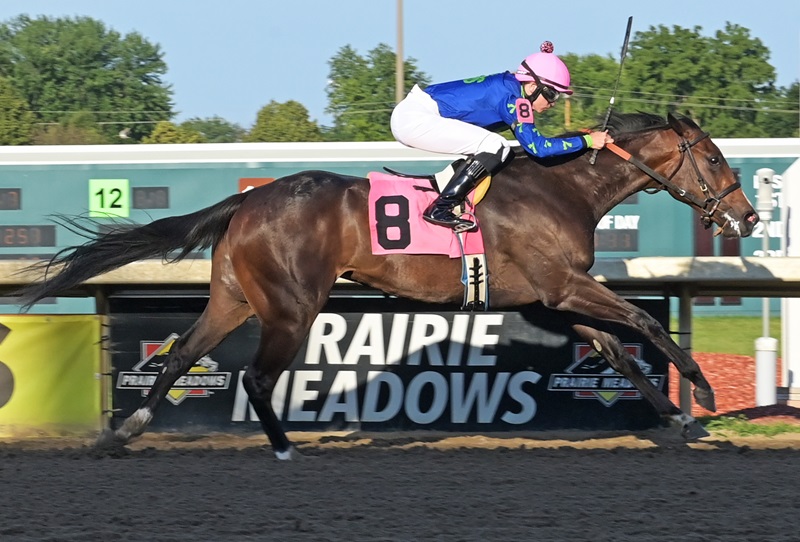 Volatile filly very sharp in debut maiden special weight win