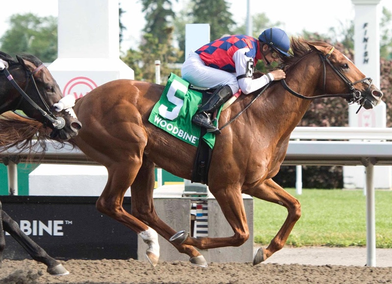 Funtastic Again goes gate-to-wire in Dominion Day S. (G3)