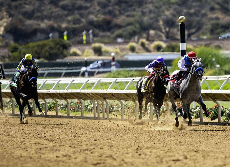 Record-setting Brant delivers TDN ‘Rising Star’ performance at Del Mar