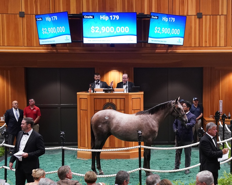Gun Runner's $2.9 million colt, hip No. 179, at the 2025 Fasig-Tipton Saratoga Yearling sale - photo by Z