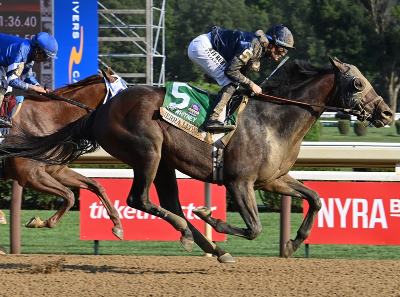 Sierra Leone earns Breeders’ Cup berth with thrilling Whitney S. (G1) win