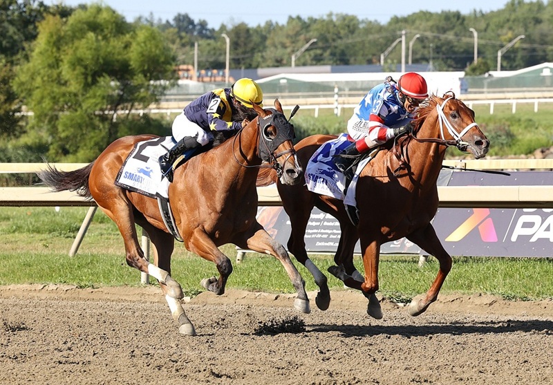 Tip Top Thomas goes gate to wire to win $200,000 Smarty Jones S.