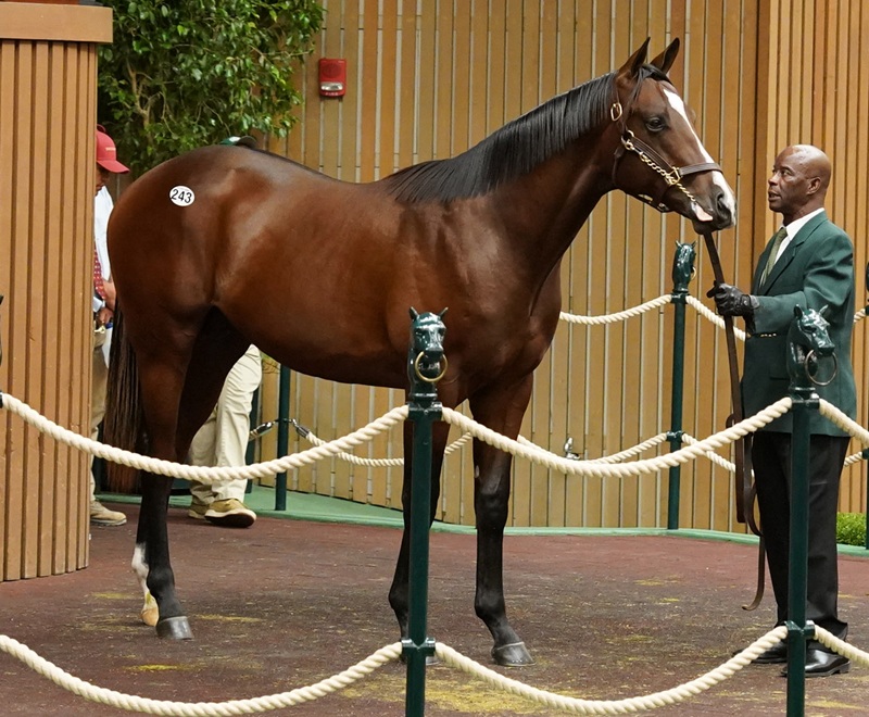 Gun Runner has six yearlings bring seven figures Tuesday at Keeneland