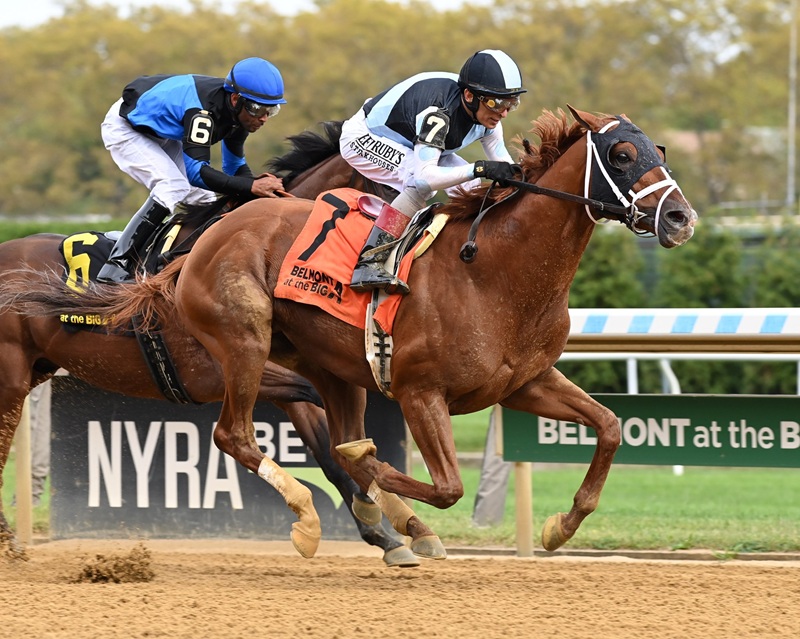 Locked back to his best in Woodward S. (G2) victory