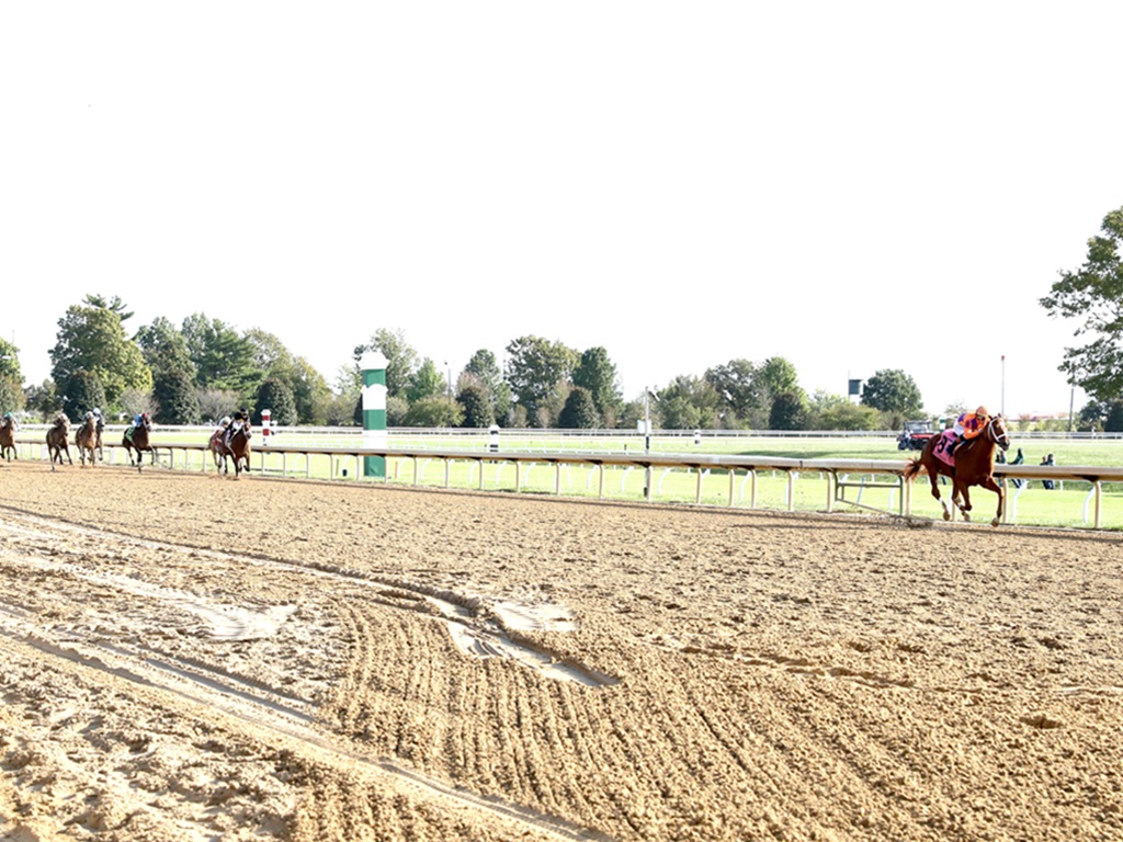 Gun Runner’s Further Ado rolls by 20 at Keeneland to earn TDN Rising Stardom