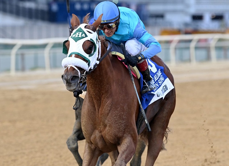 Gun Song shows her mettle to win Grade 2 Beldame S.