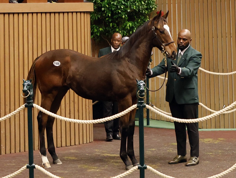 Gun Runner weanling soars to $2.2 million at Keeneland