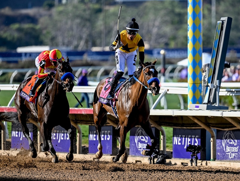 Gun Runner’s Super Corredora dominates Breeders’ Cup Juvenile Fillies (G1)