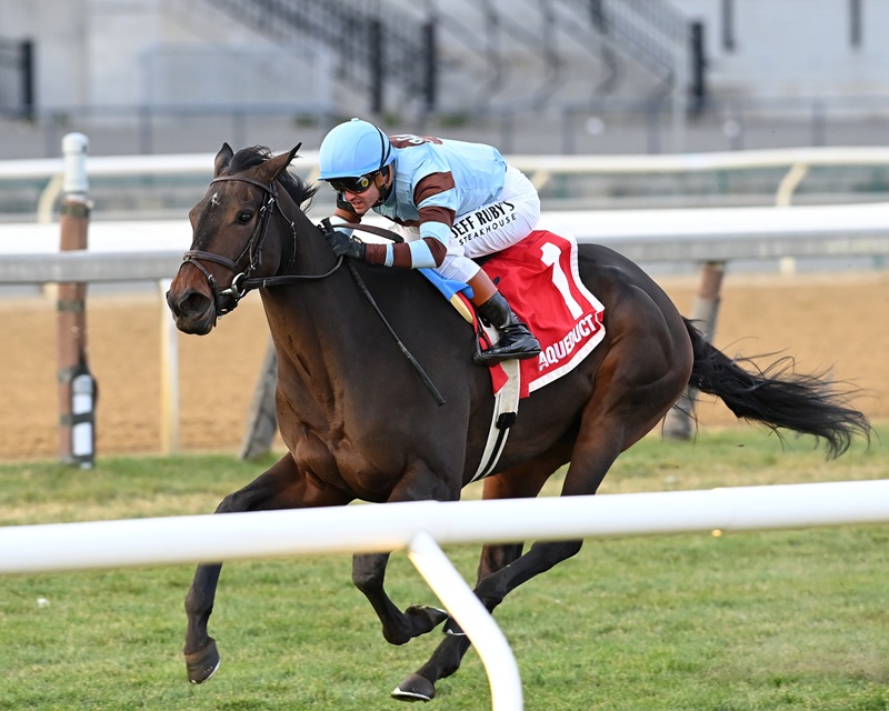Volatile’s Fast Market storms home to win Pebbles S. (G3)