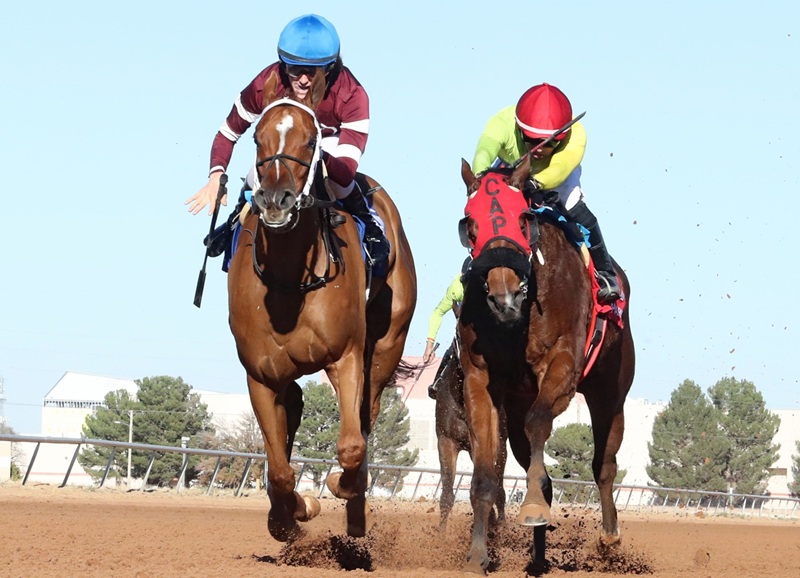 Gun Runner’s Wakuda all heart in Zia Park Princess S.