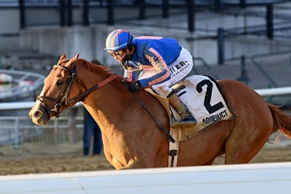 Gun Runner’s Paladin earns first Derby points with Remsen S. (G2) victory