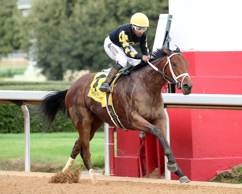 Volatile’s Foie Gras a clear-cut winner in her Oaklawn Park stakes debut