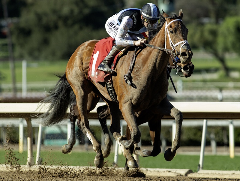 Gun Runner’s Meaning takes Las Virgenes for first stakes win