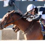 Search Party scores a game victory in the 2026 Martha Washington S. at Oaklawn Park - Coady Media