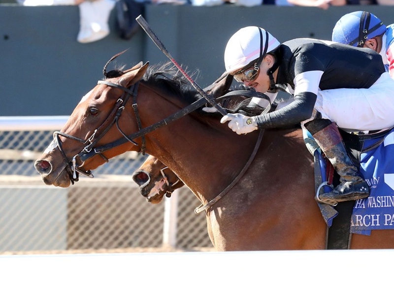 Search Party scores a game victory in the 2026 Martha Washington S. at Oaklawn Park - Coady Media