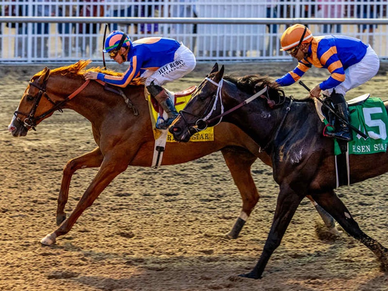 Paladin “Guns” down Chip Honcho to win Risen Star S. (G2)