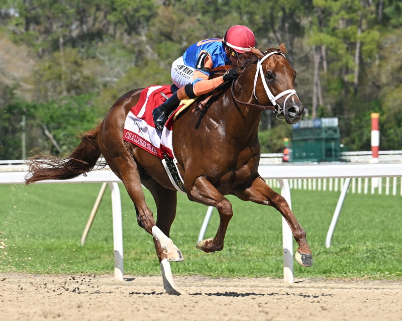 Disruptor the newest graded stakes winner for Gun Runner