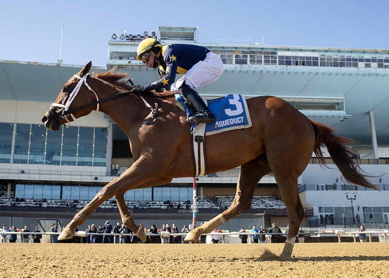Gun Runner’s Paradise dominates Busher S. for first stakes win