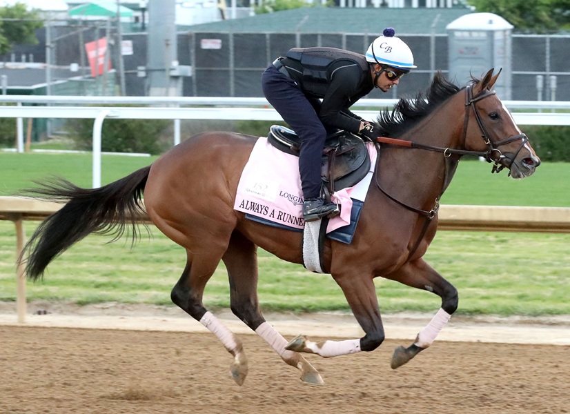 Meaning, Always a Runner lead a quartet of Gun Runner fillies entered in Kentucky Oaks (G1)