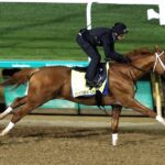 Further Ado reaches for the wire during his April 25 workout at Churchill Downs - Renee Torbit