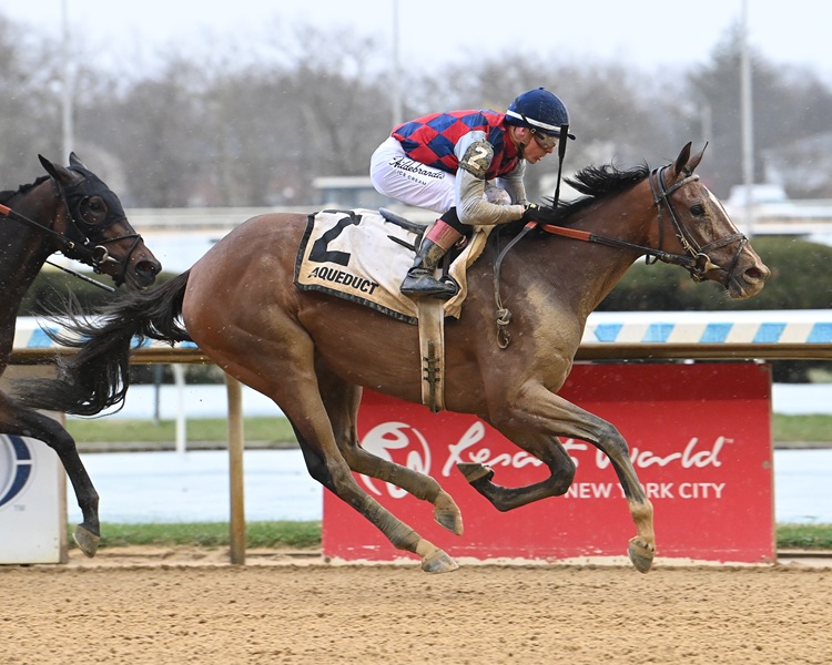 Always a Runner secures her Kentucky Oaks spot with Gazelle S. (G3) win