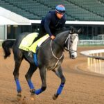 Great White gallops at Churchill Downs and April 27 - Renee Torbit