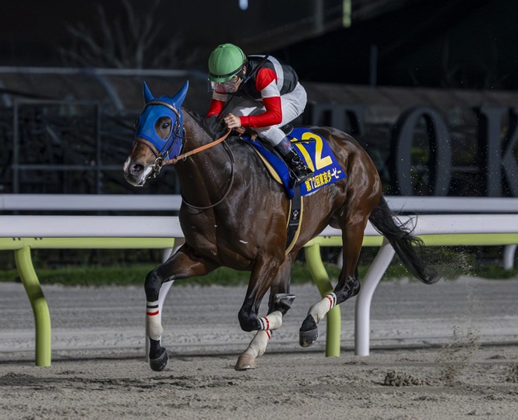 Gun Runner colt on cusp of Japanese Triple Crown