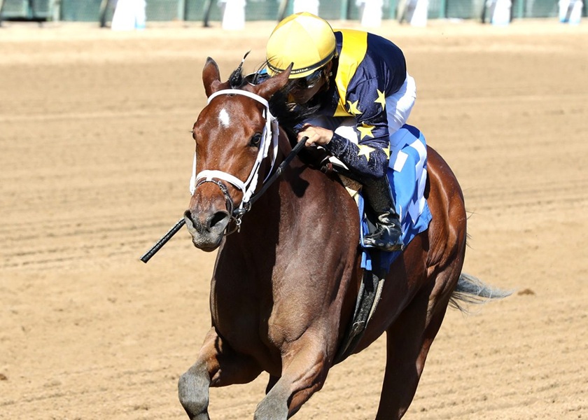 Gun Runner filly sparkles in TDN ‘Rising Star’ performance at Churchill Downs